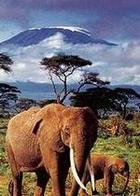 Monte Kilimanjaro visto desde Kenya