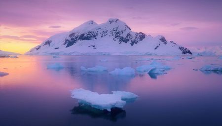Paradise Harbour - Antartida