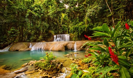 Ys Falls - Jamaica