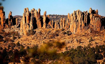 Sierra de Organos - Zacatecas