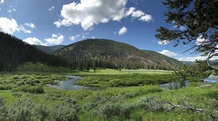Custer Gallatin National Forest - Montana