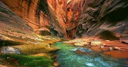 The Narrows - Zion NP