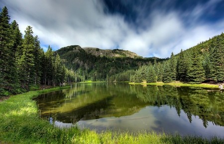 Carson National Forest