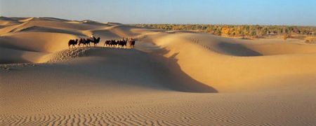 Caravana por el Desierto