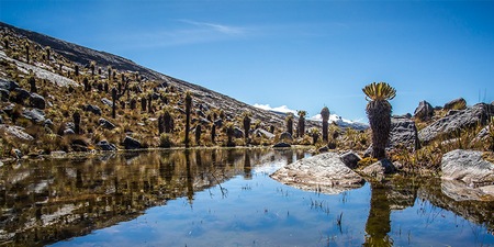 Parque Nacional Cocuy