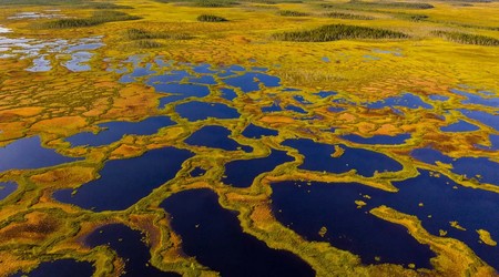 Reserva Martimoaapa Mire