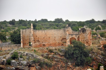 Kanytelis