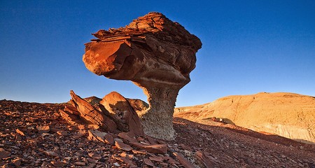 Bisti/De-Na-Zin Wilderness