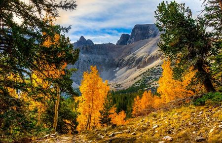 Great Basin National Park